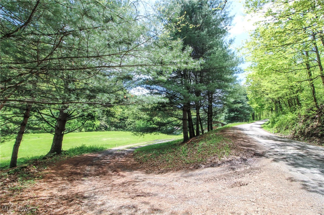 45247 W Union Road, Sardis, Ohio image 25