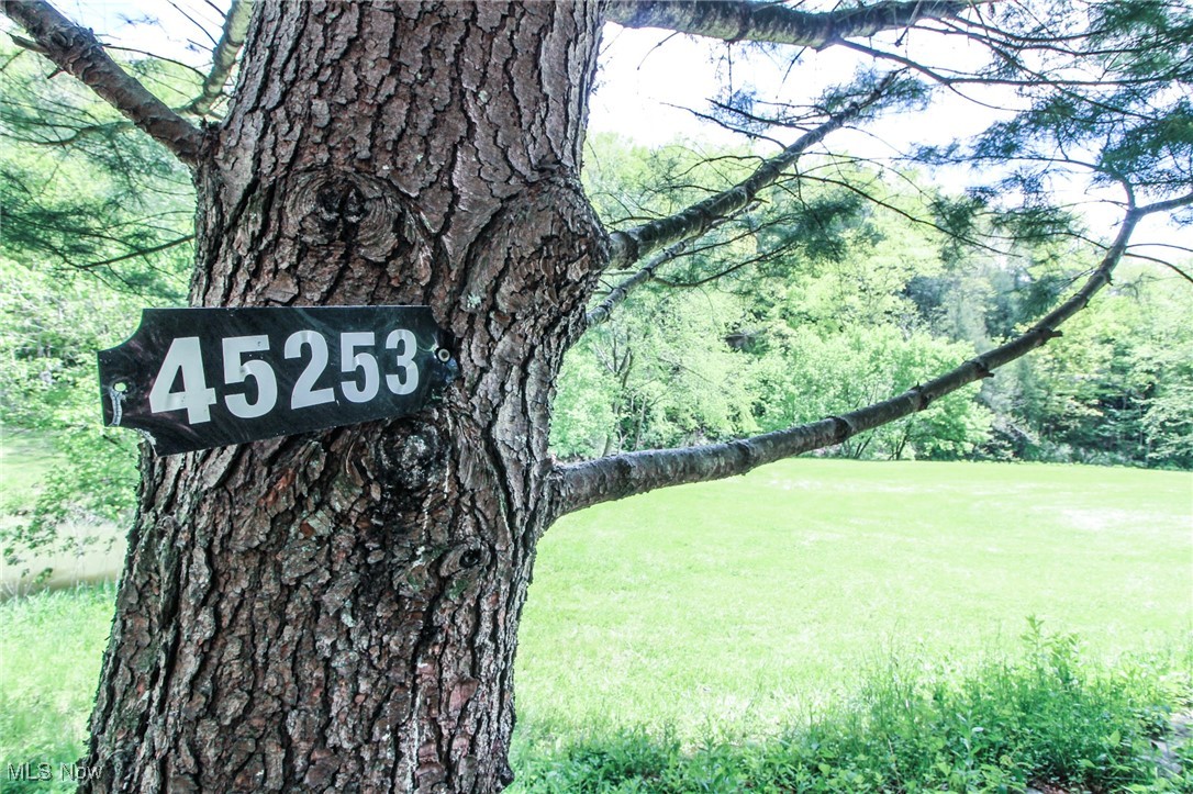 45247 W Union Road, Sardis, Ohio image 23