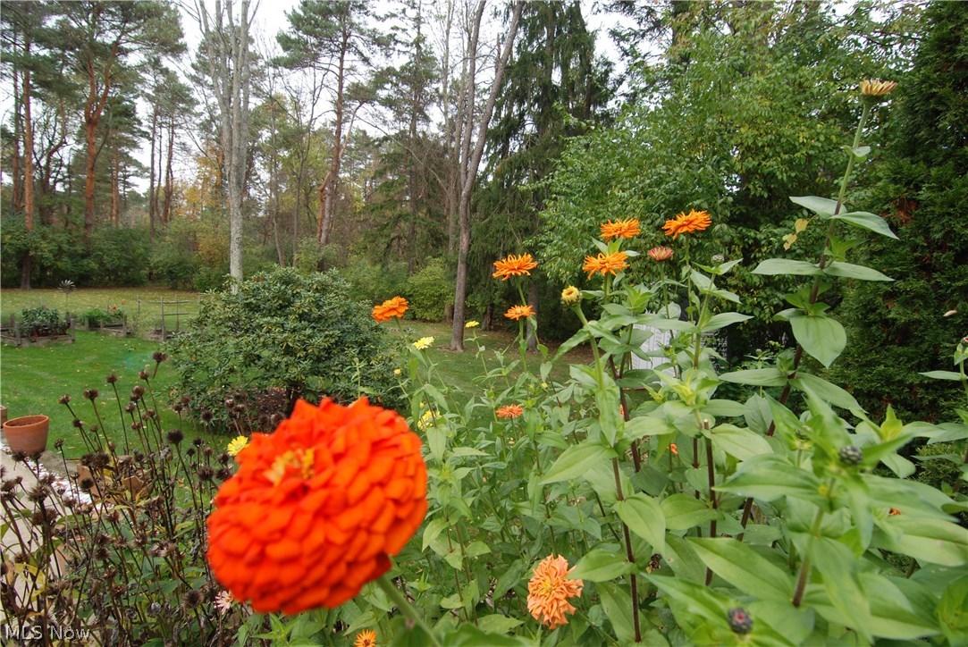 Ghent Hills - Residential