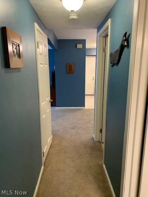 Terrace Common Condo - Residential