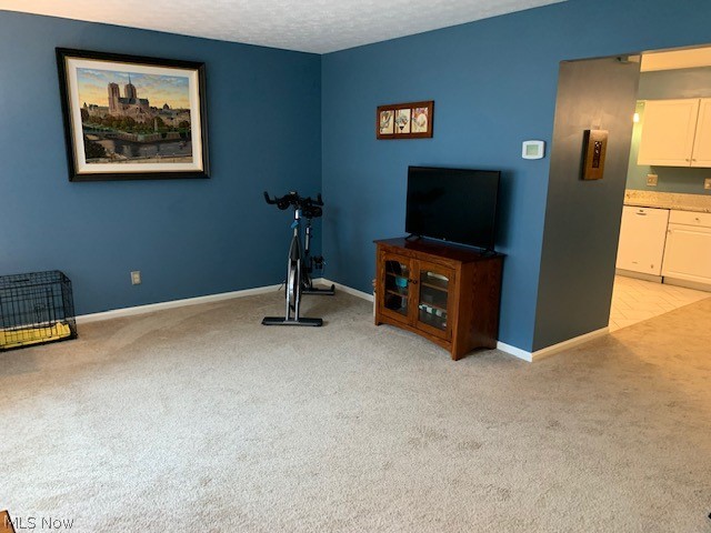 Terrace Common Condo - Residential