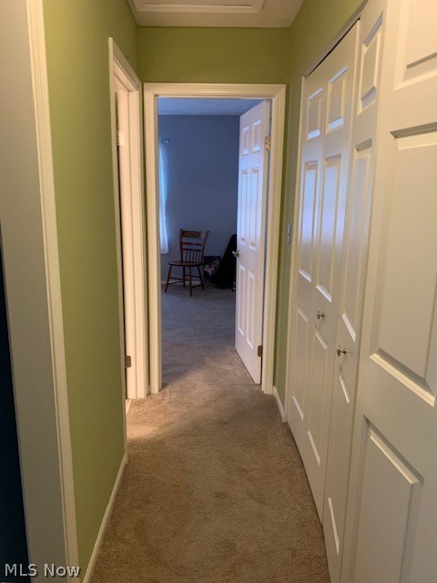 Terrace Common Condo - Residential