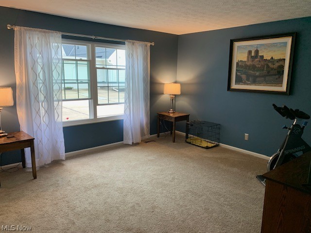 Terrace Common Condo - Residential