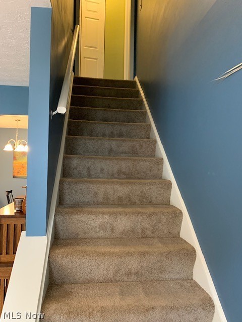 Terrace Common Condo - Residential