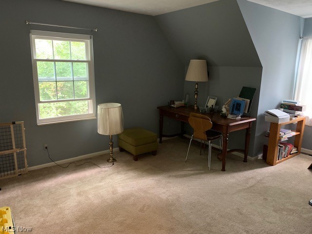 Terrace Common Condo - Residential