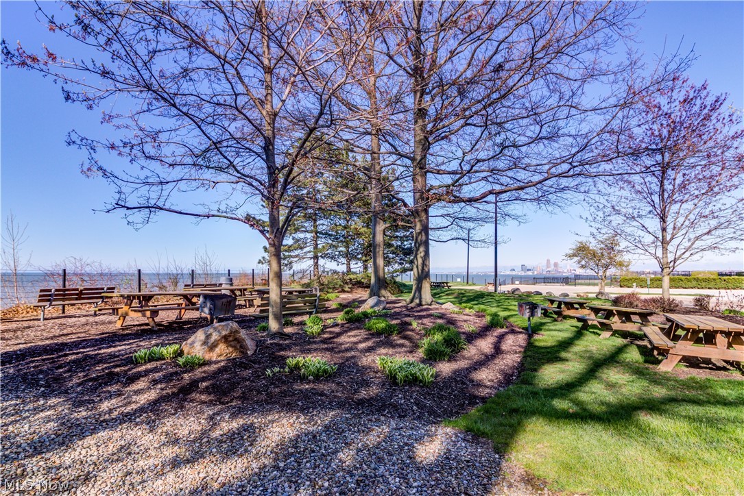 The Carlyle - Residential