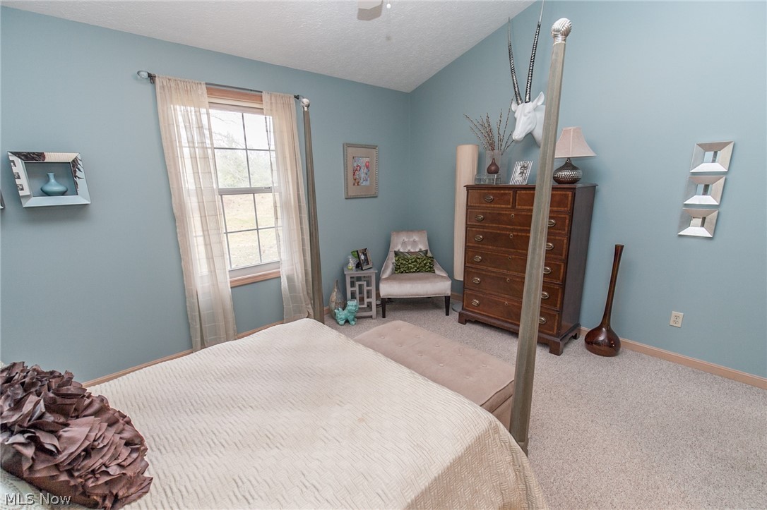 The Woods - Residential