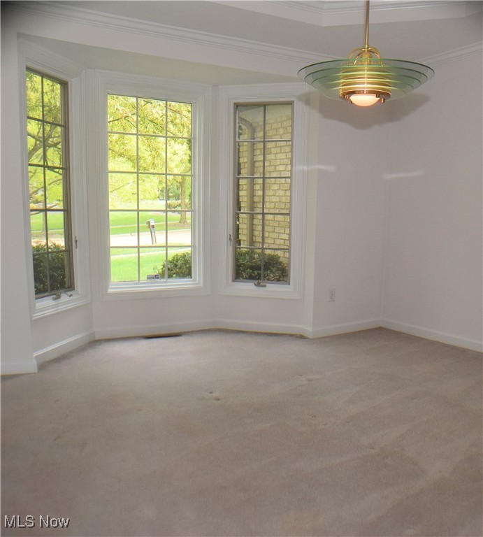 8055 Washington Avenue, North Royalton, Ohio image 24