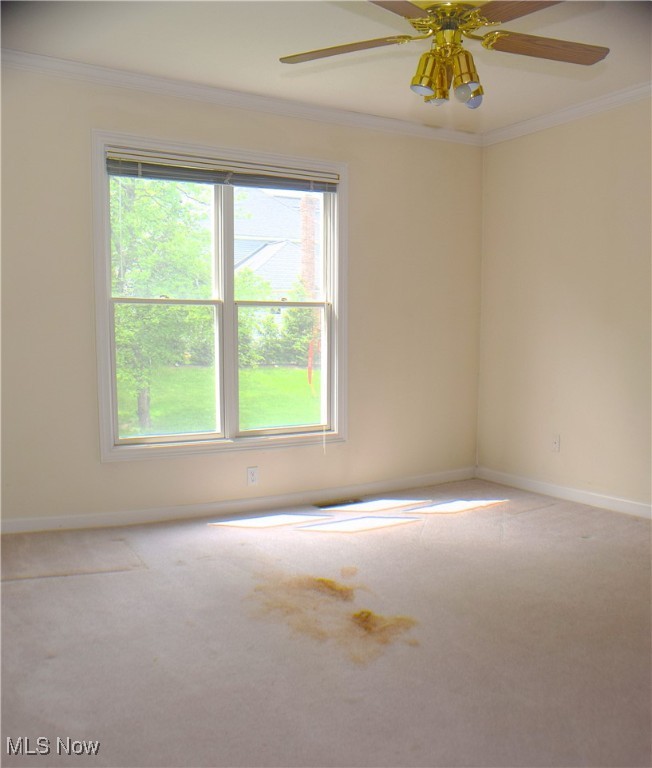 8055 Washington Avenue, North Royalton, Ohio image 26