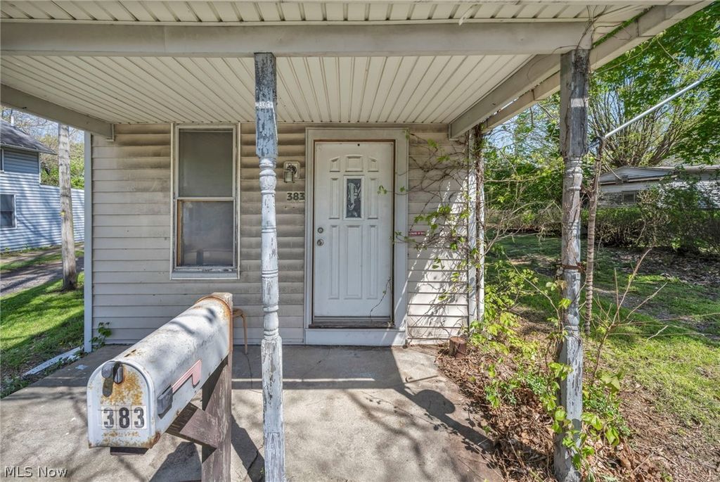 Photo of 383 N Arlington Street, Akron, OH 44305 (MLS # 5207768)