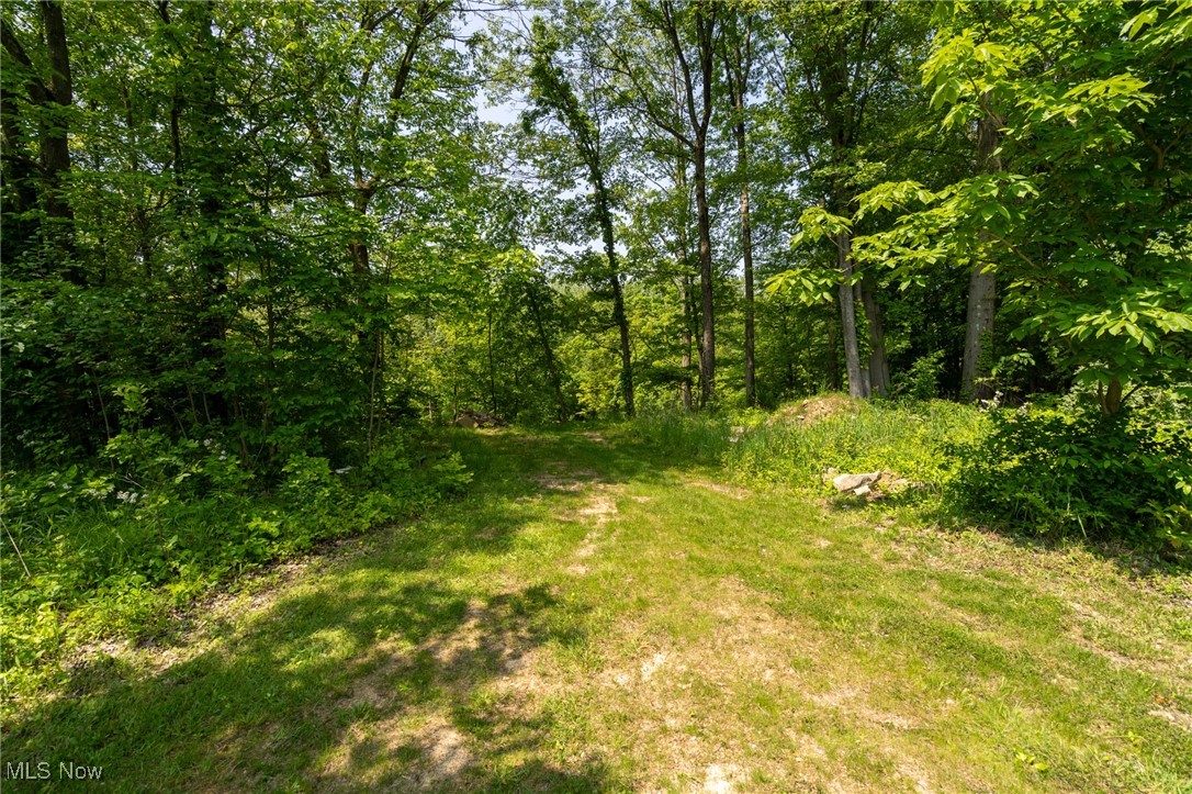 320 N Lake Street, South Amherst, Ohio image 37