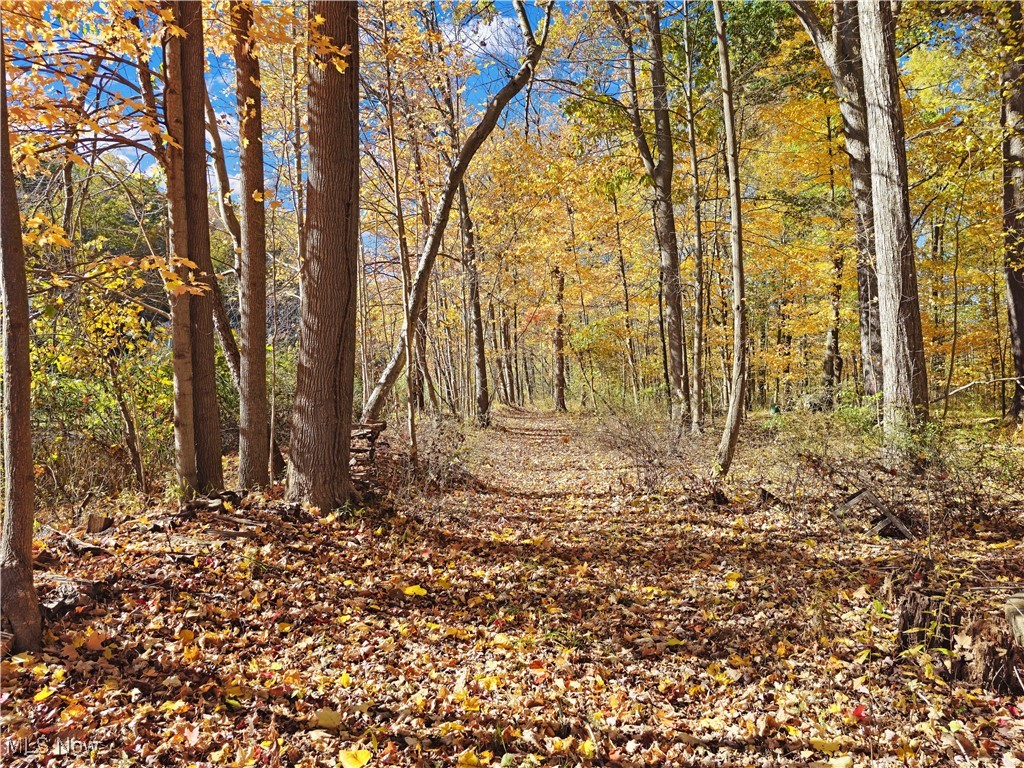 Tract 9 - Residential