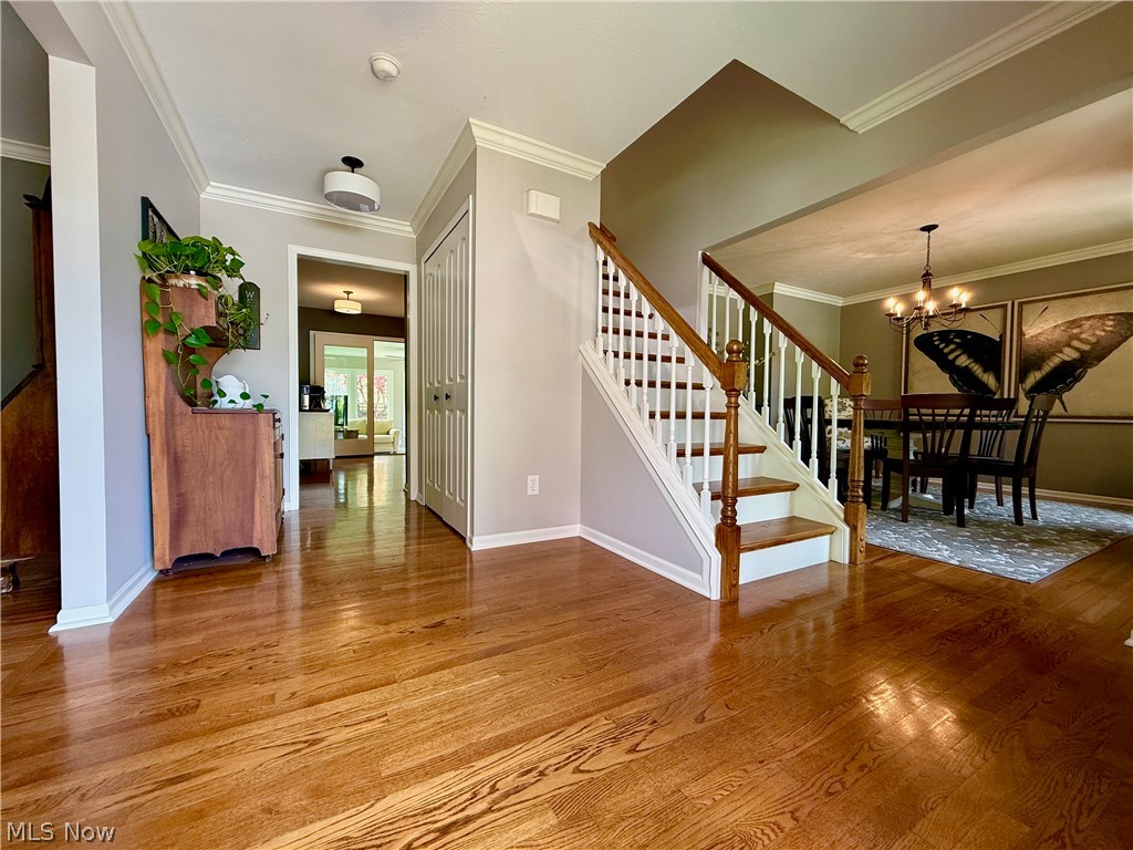 Laurel Woods - Residential