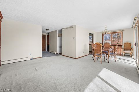 Tiny photo for 13881 Salem Church Street NE, Paris, OH 44669 (MLS # 5190225)