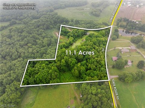 Vacant Land For Sale - Nw State Route 93<br/> Tuscarawas County, Dundee, OH 44624