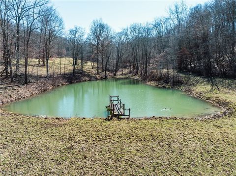 Vacant Land For Sale - Eckley Road<br/> Jewett, OH 43986