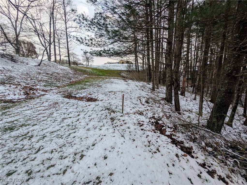Mcgregor Drive, Sutton, West Virginia image 4