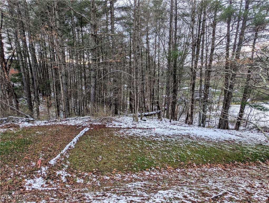 Mcgregor Drive, Sutton, West Virginia image 8