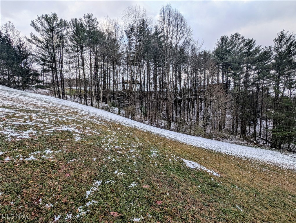 Mcgregor Drive, Sutton, West Virginia image 1