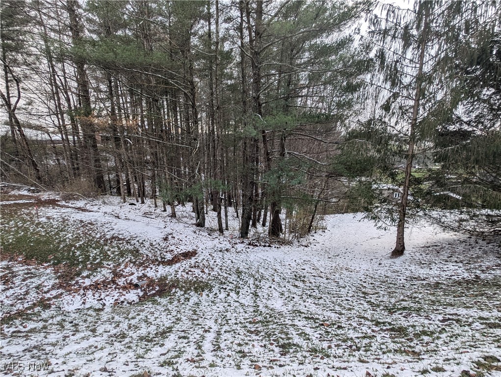 Mcgregor Drive, Sutton, West Virginia image 7