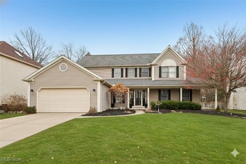 20393 Wildwood Lane Strongsville OH 44149