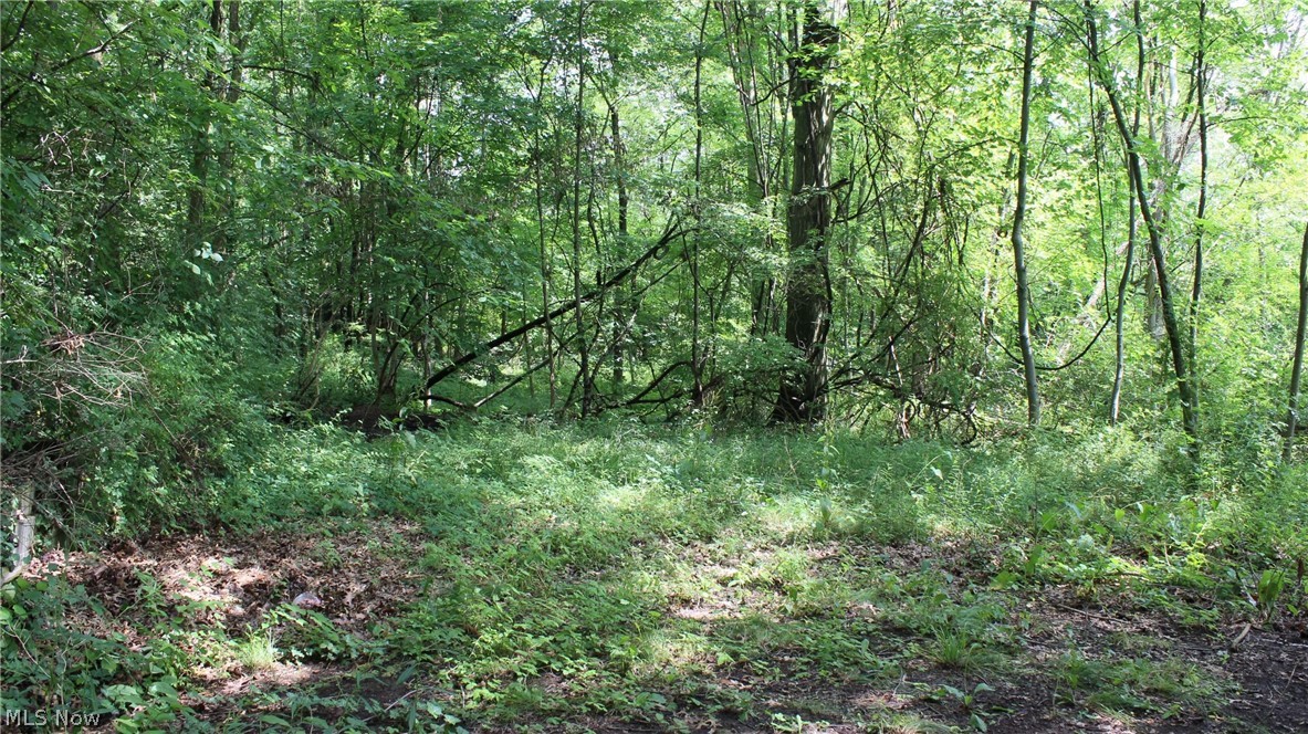 Longview - Residential