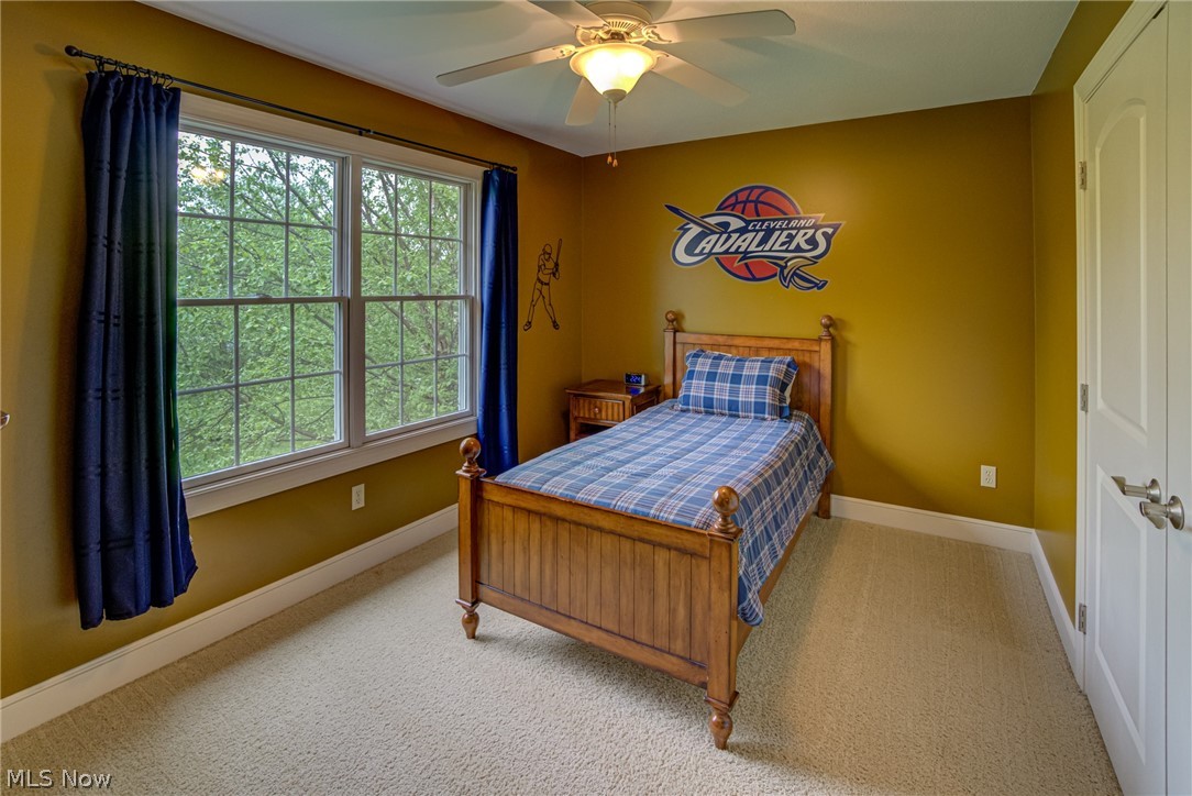 Ascot Park - Residential