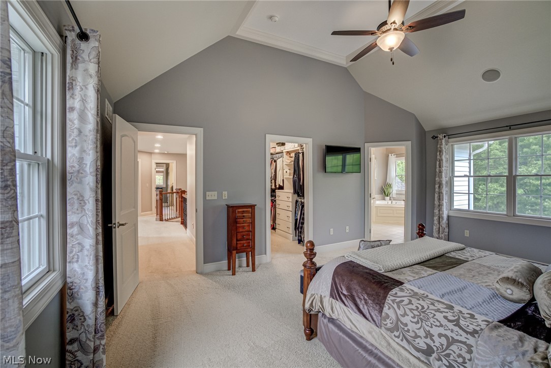 Ascot Park - Residential