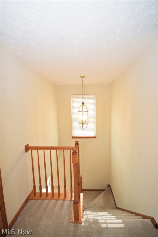 Chapman Farms - Residential