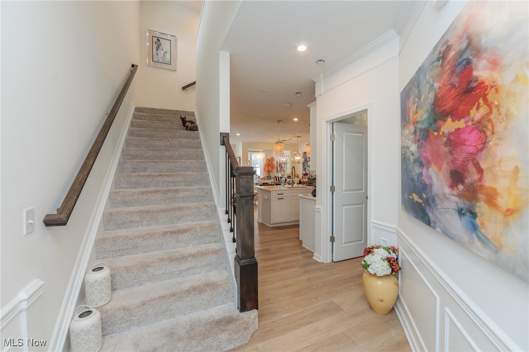 27842 Birchwood Court