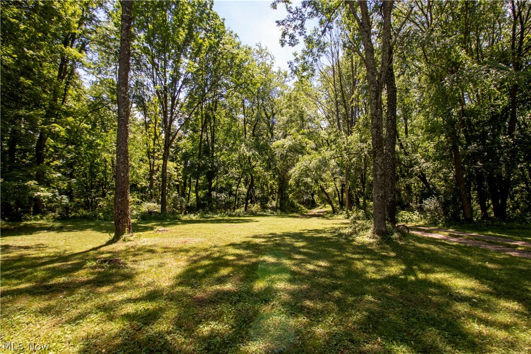 Village/Loudonville - Residential