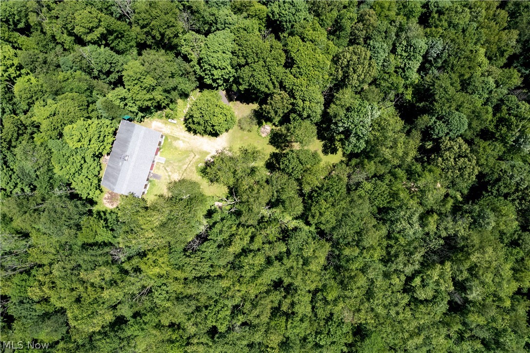 Village/Loudonville - Residential