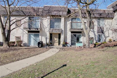 Photo of 8507 N Akins Road, North Royalton, OH 44133 (MLS # 5189978)