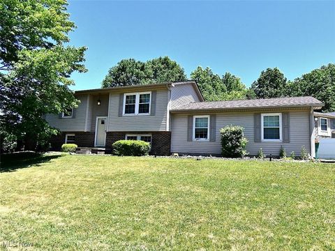 125 Livingston Circle NW, Warren, OH 44483 - MLS#: 5121018