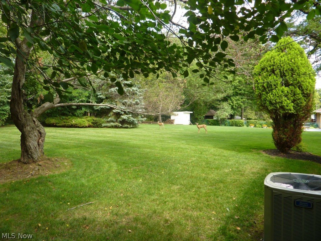 Grandee - Residential