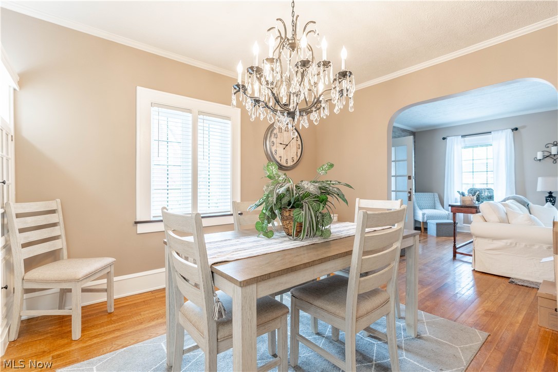 Grovemiller Allotment - Residential