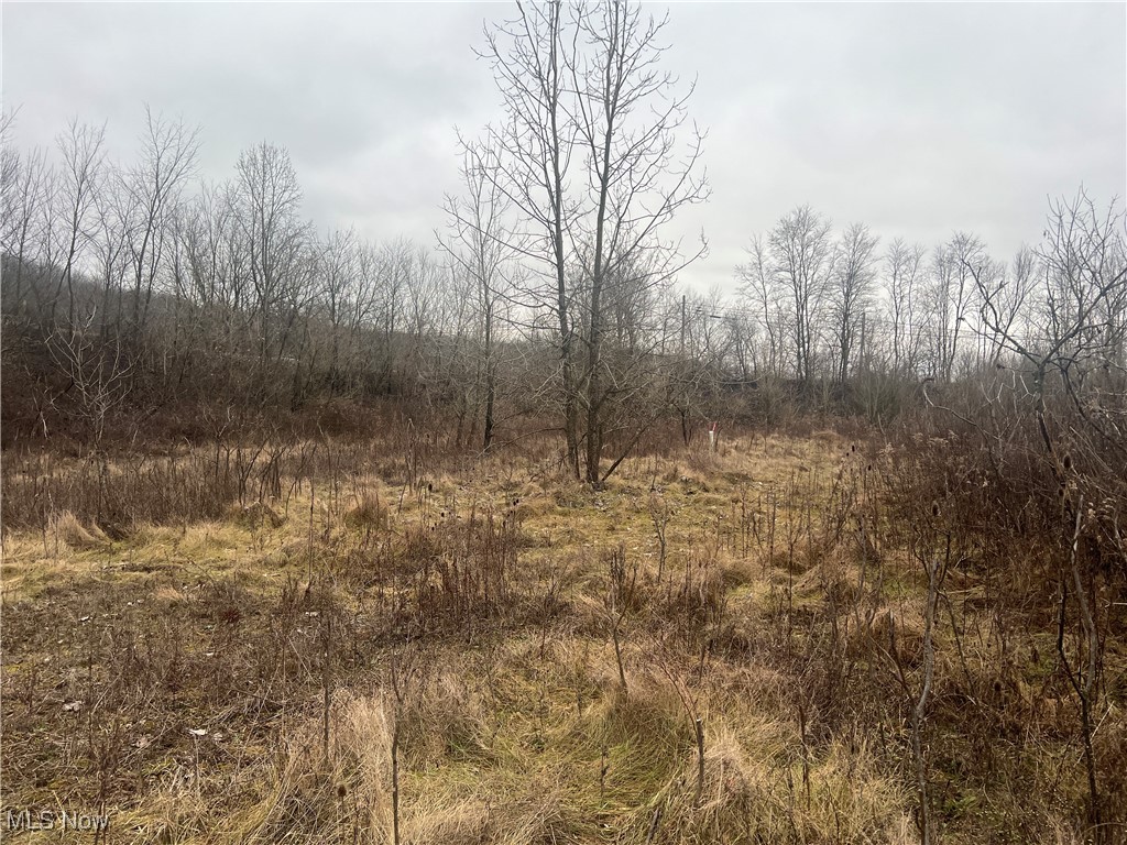 Cr-35, Killbuck, Ohio image 13