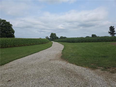 Tiny photo for 24175 State Route 58, Wellington, OH 44090 (MLS # 5238874)