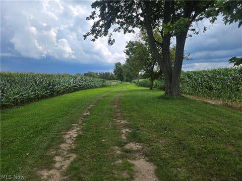 Tiny photo for 24175 State Route 58, Wellington, OH 44090 (MLS # 5238874)