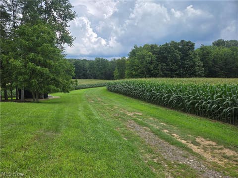Tiny photo for 24175 State Route 58, Wellington, OH 44090 (MLS # 5238874)