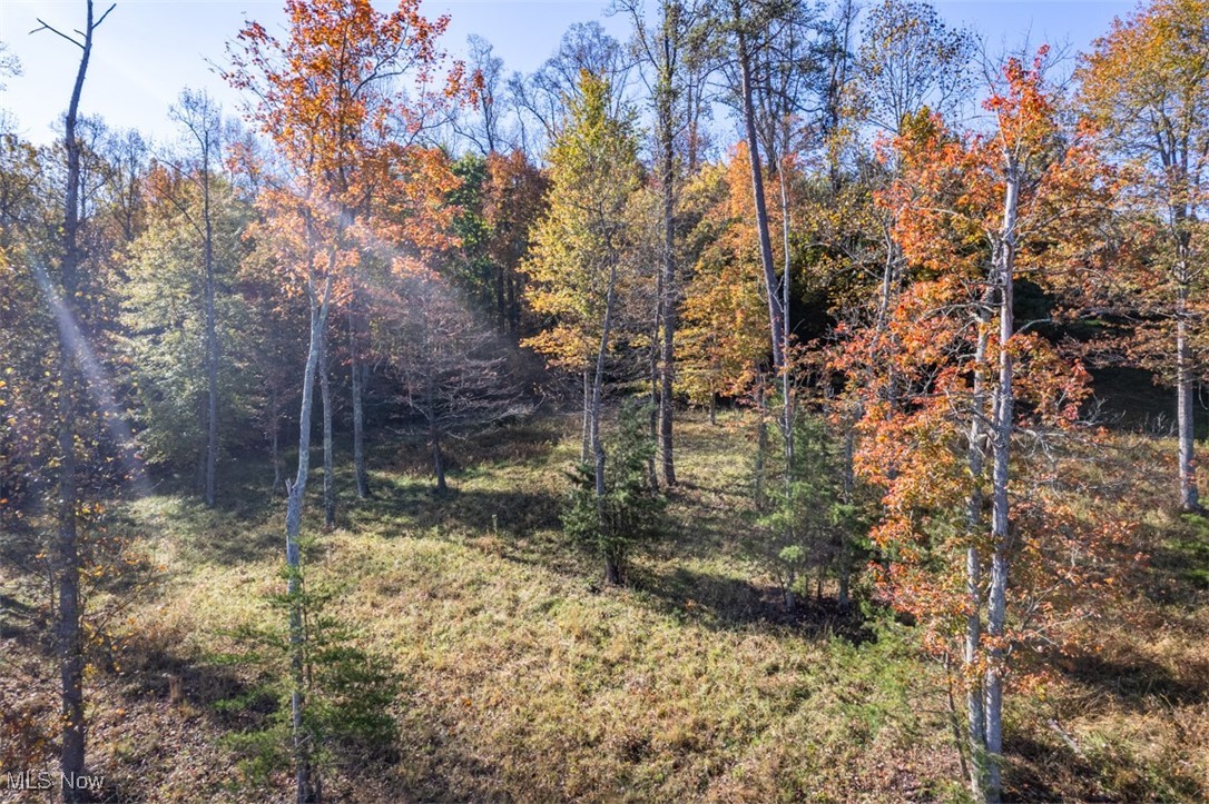 Mountain View Lane, Parkersburg, West Virginia image 7