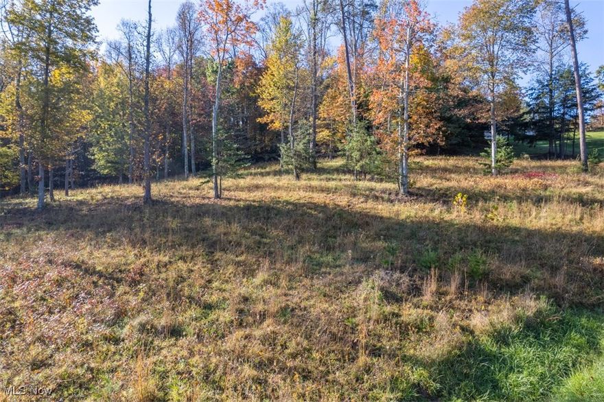 Welcome to Mountain View Lane – an exceptional, private community just outside the city limits, yet perfectly positioned for convenience. Located just minutes from Interstate 77 and Route 50, this exclusive neighborhood offers an ideal blend of tranquil suburban living and easy access to major highways. Whether you’re commuting or exploring local attractions, you’ll love the balance of peaceful surroundings and seamless connectivity. Be one of the first to experience this sought-after enclave, designed for those who value privacy, community, and convenience. Don’t miss your chance to call this place home