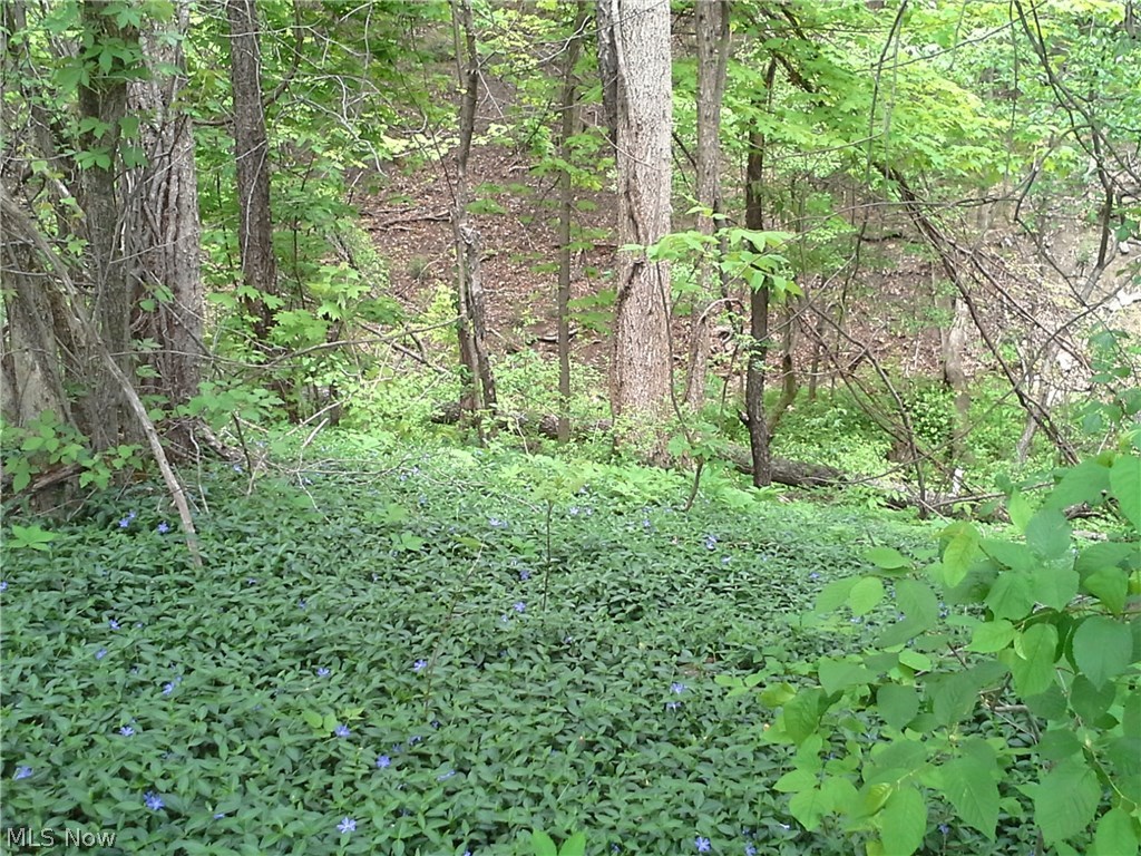 Parkman Sec 06 - Residential