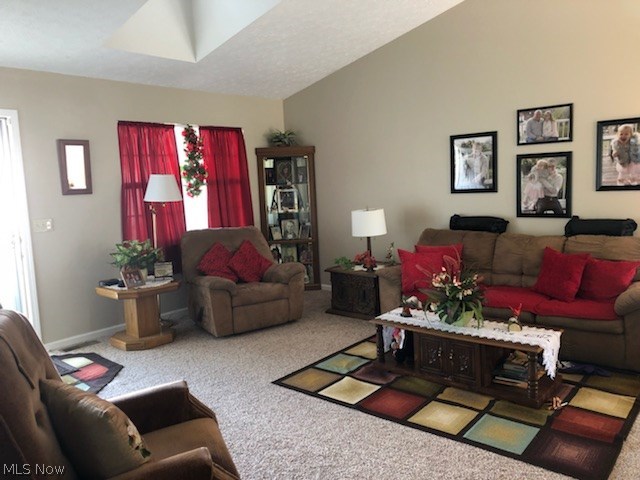 Mill Run Condos - Residential