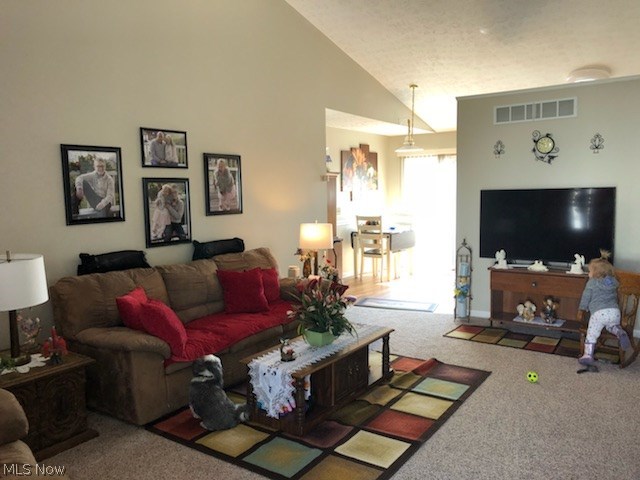 Mill Run Condos - Residential