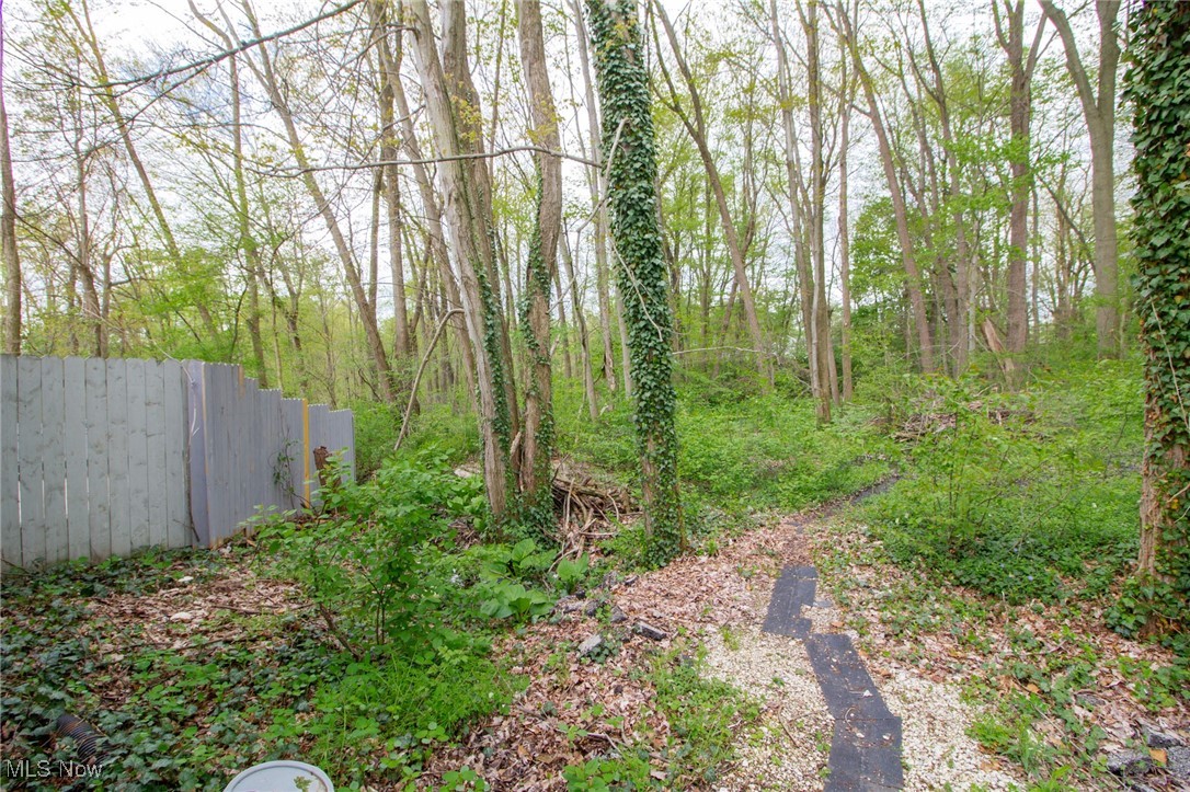 3972 Tippecanoe Road, Canfield, Ohio image 44