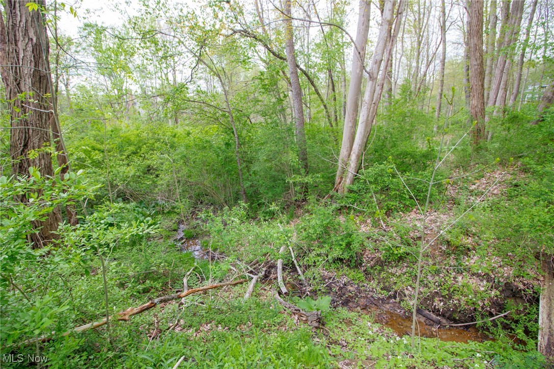 3972 Tippecanoe Road, Canfield, Ohio image 42