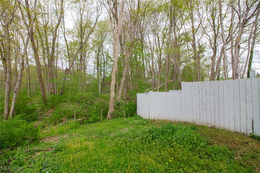 3972 Tippecanoe Road, Canfield, Ohio image 41