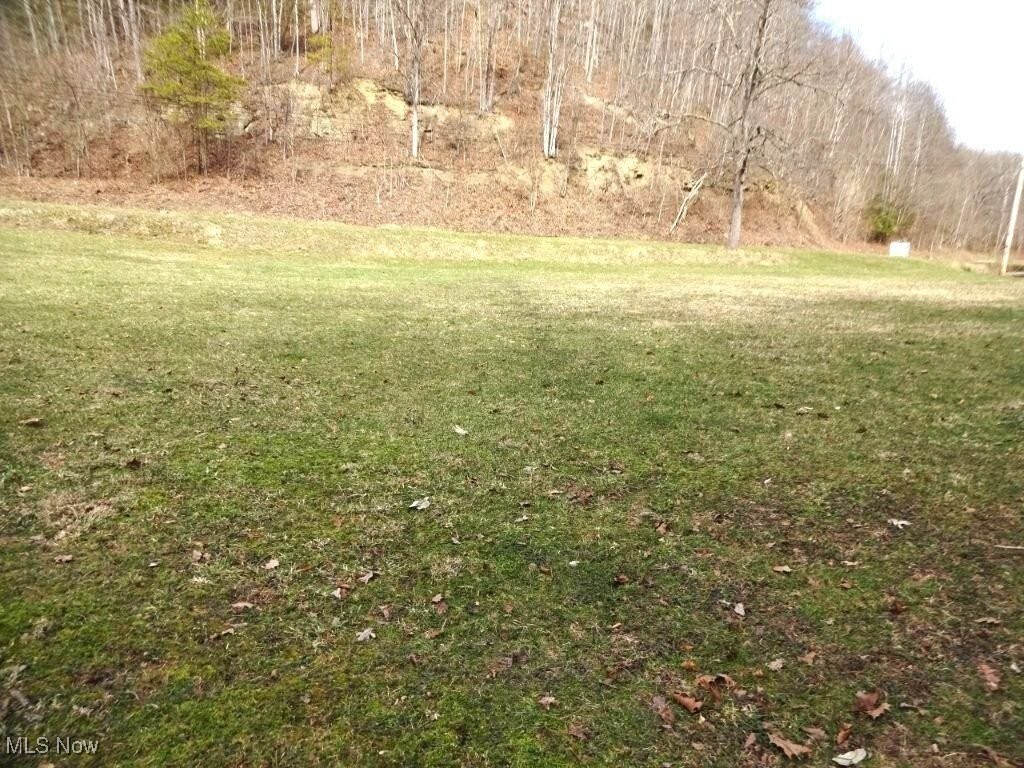 793 Straight Creek Road, Walton, West Virginia image 10