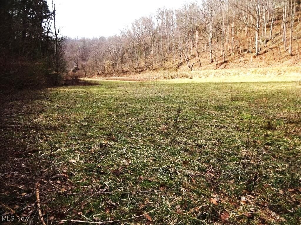 793 Straight Creek Road, Walton, West Virginia image 8